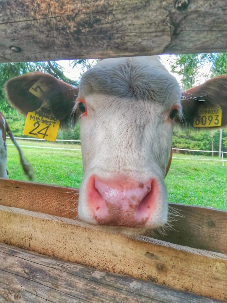 IMG_20200910_170752-01