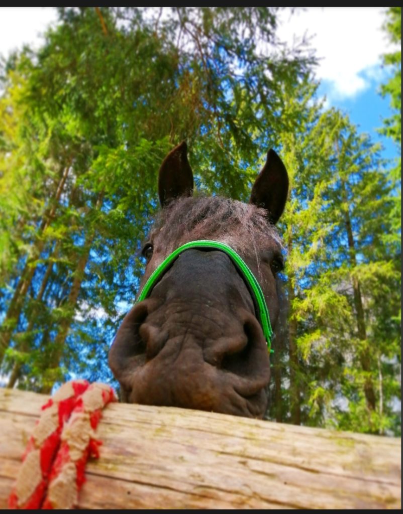 Screenshot_20200428_082132_com.instagram.android